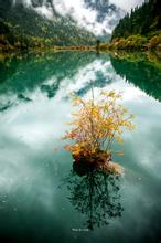 �����ļ�