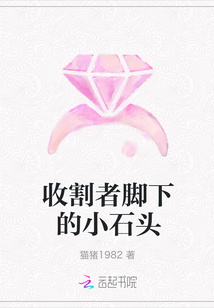 �ո��߽��µ�Сʯͷ