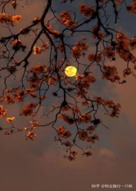 Ұ������H/1V1��