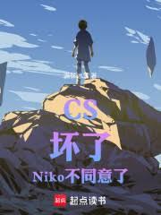 CS�����ˣ�Niko��ͬ���ˣ�